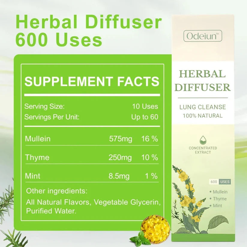 Herbal Diffuser – Pack of 4 | Natural Aromatherapy
